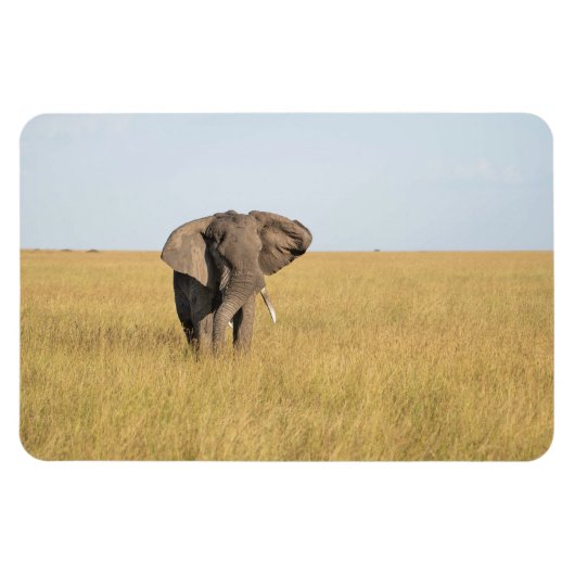 Koelkast Magnet UW Foto Sjabloon 4 x 6 Magneet (Horizontaal)