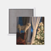 Koelkast Magnet Waiting for Santa Paws Magneet (Voorkant / Achterkant)