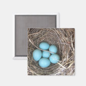 Koelkast Magneten - Bluebird Eggs (Voorkant / Achterkant)