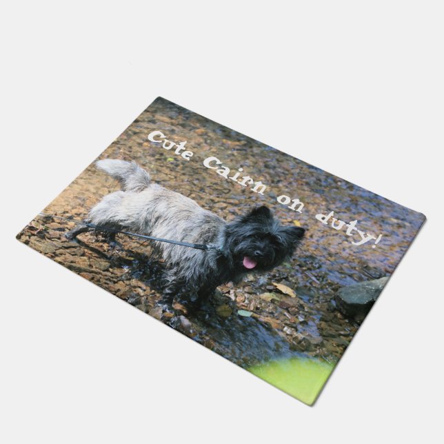 Koelkooi Deurmat (Schuin)