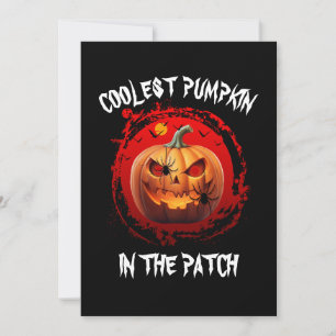 KOELSTE POMPOEN IN DE PATCH AANGEPAST KAART