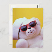 Koelteddybeer met schouderglas briefkaart (Voorkant / Achterkant)