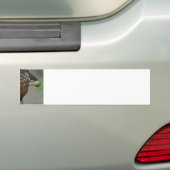 Koereiger Bumpersticker (Op auto)