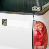 Koereiger Bumpersticker (Op Truck)
