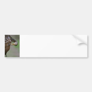 Koereiger Bumpersticker