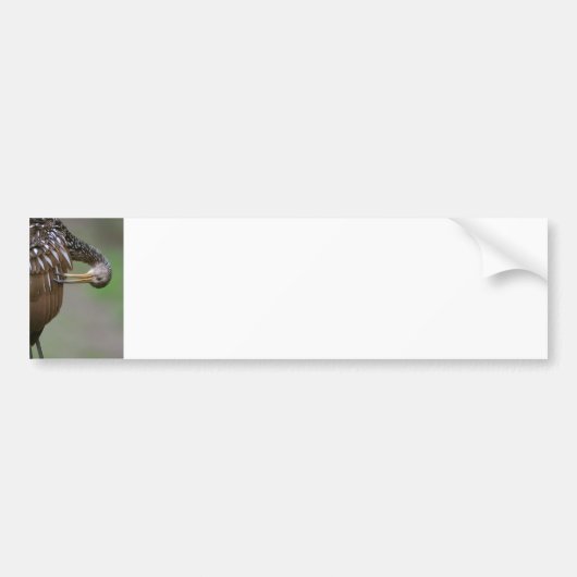 Koereiger Bumpersticker (Voorkant)