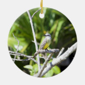 Koetvogel van de Yucatan Keramisch Ornament (Achterkant)