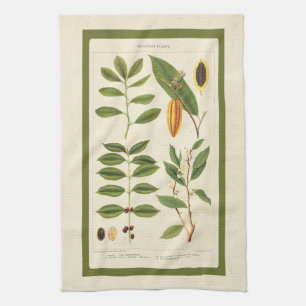 Koffie Antiek Thee Botanische Drank Planten Grafie Theedoek