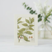 Koffie Briefkaart (Staand voorkant)