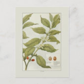 Koffie Briefkaart (Voorkant)