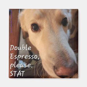 Koffie Dog Magnet #1 - Buffy Magneet
