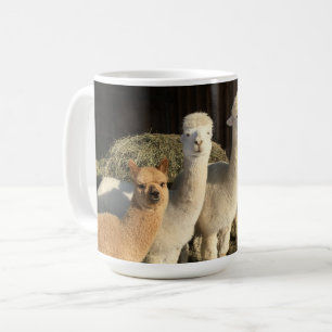 Koffie Mok - Alpaca's in de winterzon