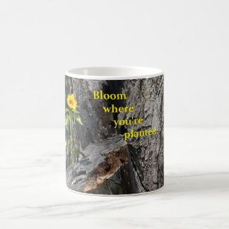 koffie - mok met bloem uit de boom