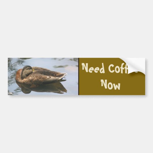 Koffie Nodig Grappige Eend Bumpersticker (Voorkant)