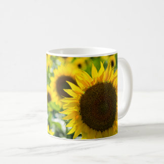 Koffiekop - Zonnebloemen Veld Foto Koffiemok