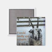 Koffieschaap Magnet #1 - Edel Magneet (Voorkant / Achterkant)