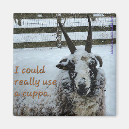 Koffieschaap Magnet #1 - Edel Magneet