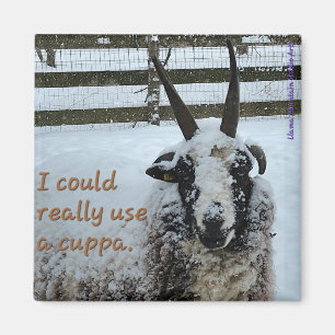 Koffieschaap Magnet #1 - Edel Magneet