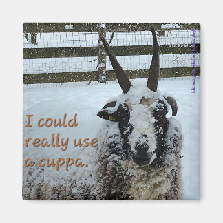 Koffieschaap Magnet #1 - Edel Magneet