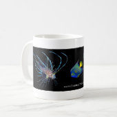 Koffievis Mok (Voorkant links)