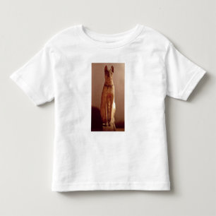 Koffine van een kat die beschermd wordt door de go kinder shirts