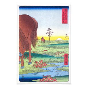 Kogane Plain in Shimō sa Province Hiroshige Foto Afdruk