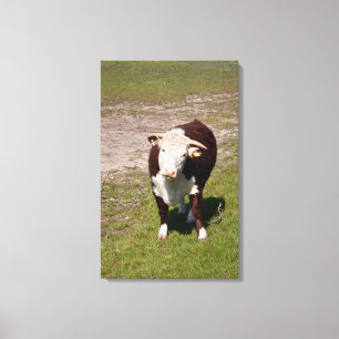 Kogeldoek Canvas Afdruk