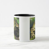 Kogelkikker. Mok (Midden)