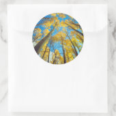 Kogelkleuren van Aspen-bomen 2 Ronde Sticker (Tas)