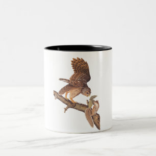 Kogelknollen en eekhoorn Audubon Odd Couple Tweekleurige Koffiemok