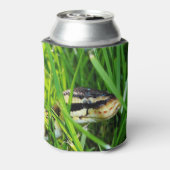 Kogelpython in de gras blikjeskoeler (Blikje Achterkant)