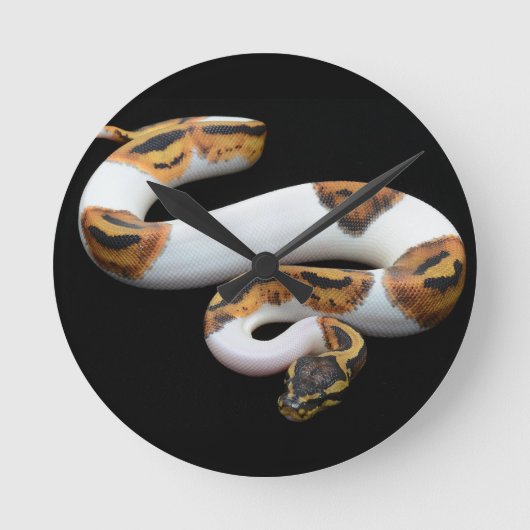 kogelpython ronde klok (Voorkant)
