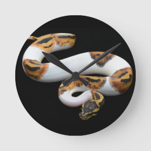 kogelpython ronde klok