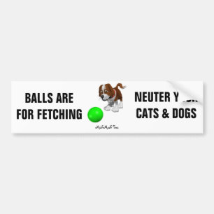 Kogels zijn bestemd voor het vastmaken bumpersticker