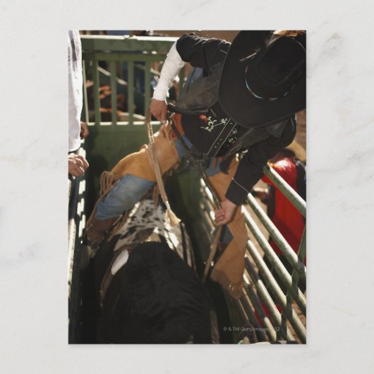 Kogelsnoer op de stier in de schil briefkaart (Voorkant)