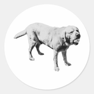 kogeltang ronde sticker