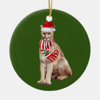 Kogelwagen met Pet kerst Keramisch Ornament