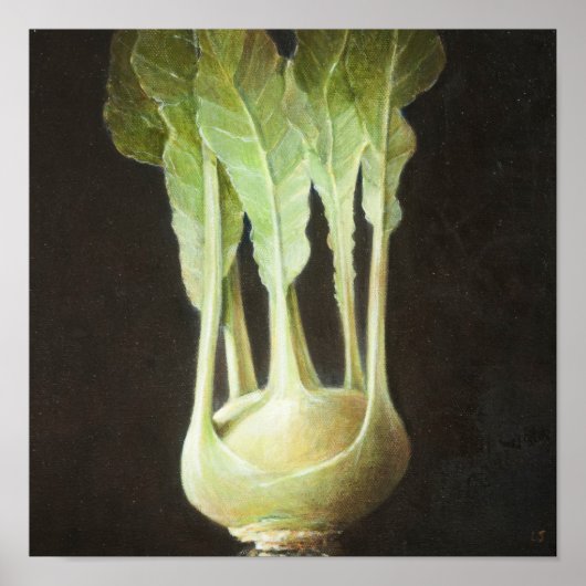 Kohl Rabi 2012 Poster (Voorkant)