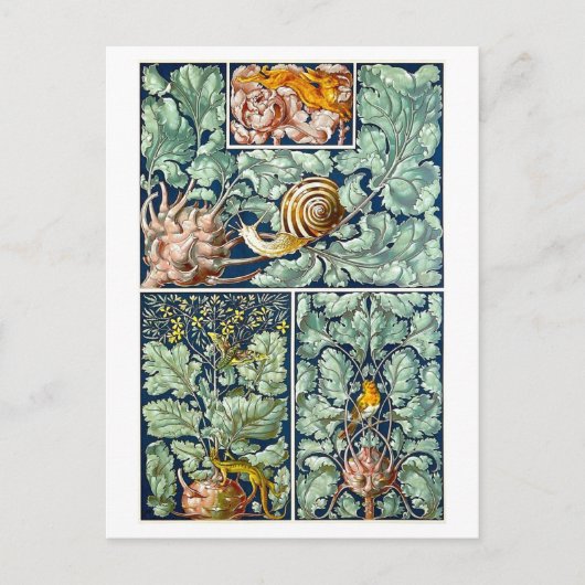 Kohlrabi comme carte postale objet décoratif (Devant)