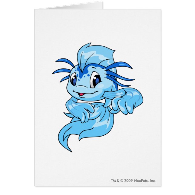 Koi Blue (Voorkant)