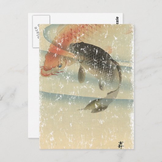 Koi Briefkaart (Voorkant / Achterkant)