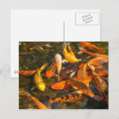 KOI BRIEFKAART (Voorkant / Achterkant)