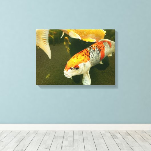 Koi Carp Canvas Print (Insitu (Houten vloer))