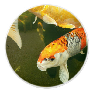 Koi Carp Ceramic Knob Keramische Knop