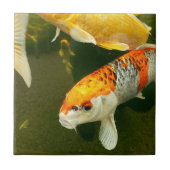 Koi Carp Ceramic Tile Tegeltje (Voorkant)