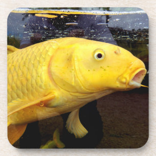 Koi Carp Hard Plastic Onderzetter