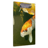 Koi Carp Klembord (Rechts)