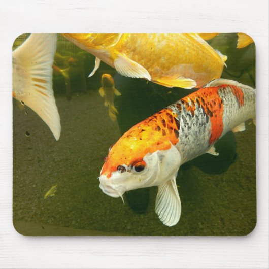 Koi Carp Mouse Mat Muismat (Voorkant)