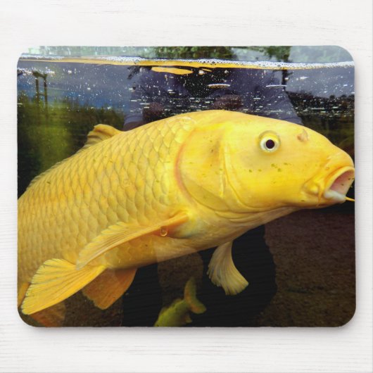 Koi Carp Mouse Mat Muismat (Voorkant)