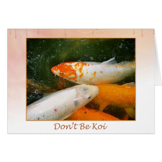 Koi Fish (Voorkant Horizontaal)
